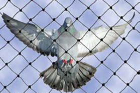 Bird Net Protective Shade Mesh Fabric, Designed to Protect Agricultural Crops and Commercial Areas from Bird Damage, Featuring Lightweight Construction and Optimal Air Permeability for Sustainable Plant Growth